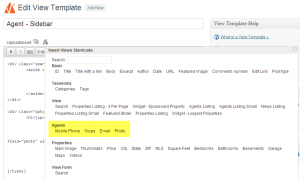 Inserting custom fields to templates via the WordPress GUI