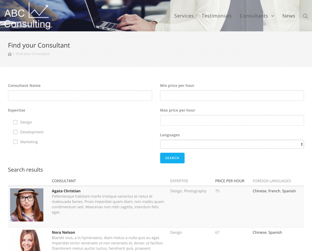 Screenshot of Consultant search form on front end